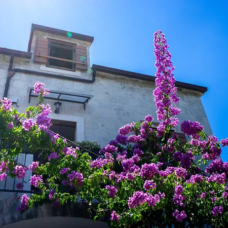 Stone House Marino Будинок відпочинку