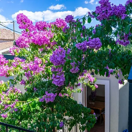 Tatil Evi Stone House Marino