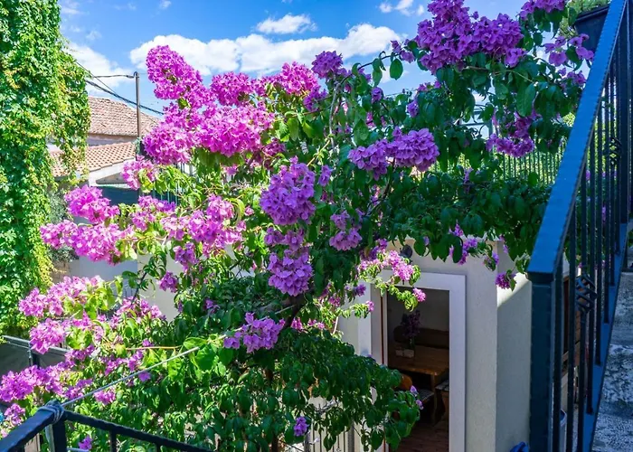 Vikendica Stone House Marino